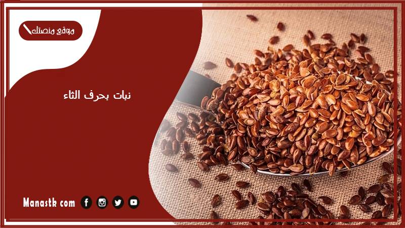 نبات بحرف الثاء 2025 اسم فاكهة بحرف الثاء خضار بحرف ث