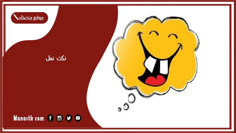 نكت نمل 2025 في نملة ماتت ليلة عرسها ليه