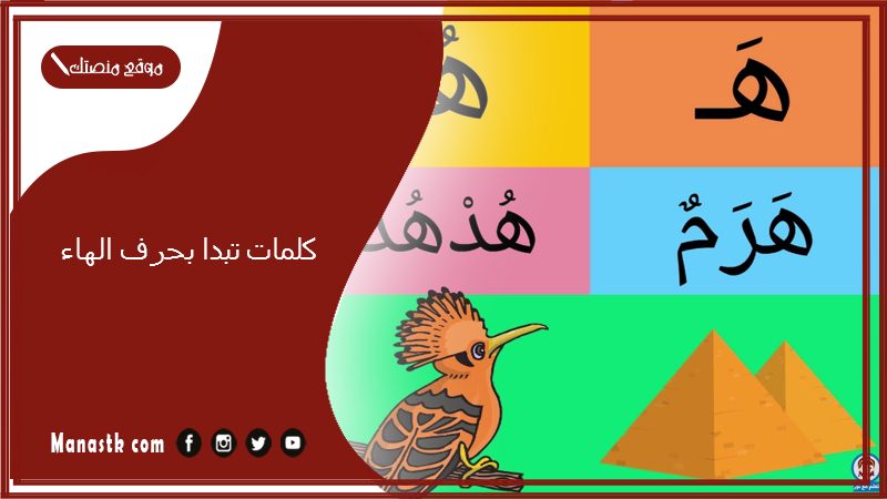 كلمات تبدا بحرف الهاء 2025 صفات جميلة تبدا بحرف الهاء ه