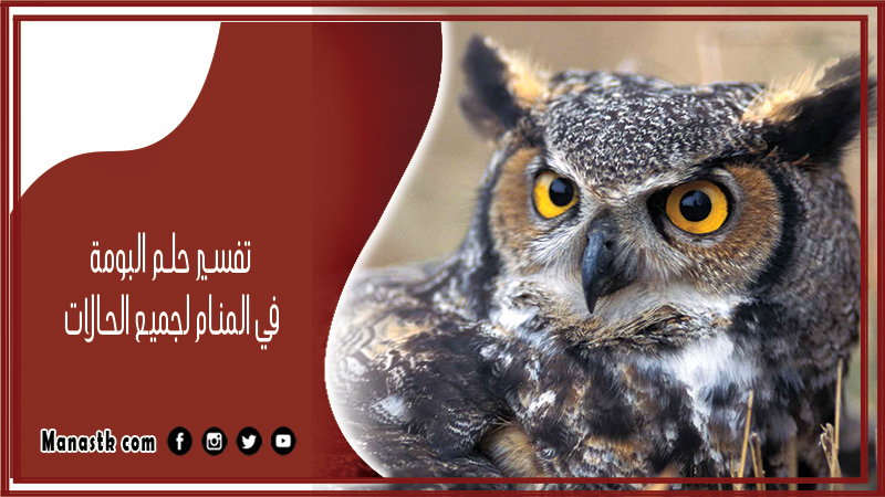 تفسير حلم البومة في المنام