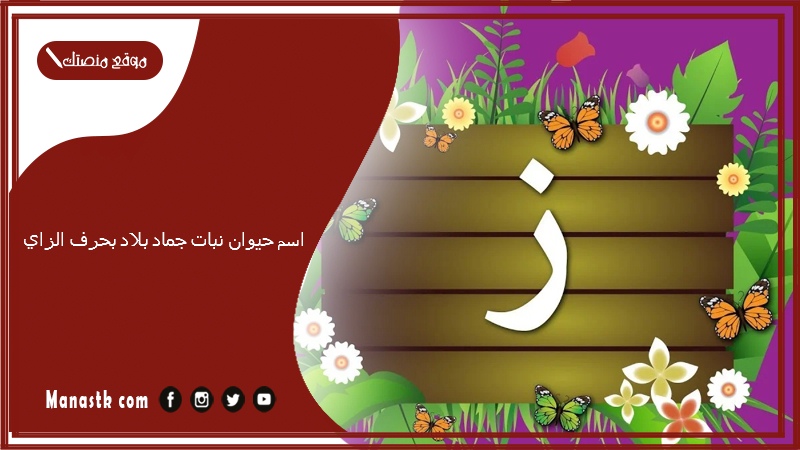 اسم حيوان نبات جماد بلاد بحرف الزاي 2025 حلول لعبة الحروف بحرف الزاي ز