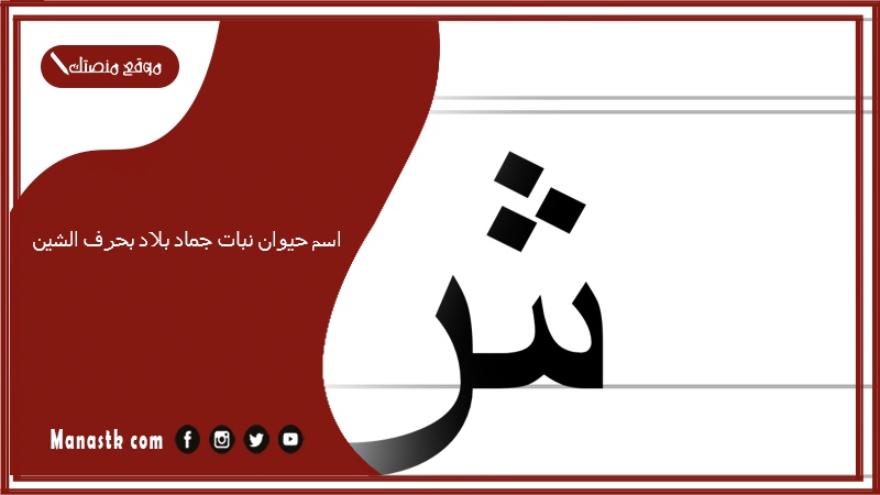 اسم حيوان نبات جماد بلاد بحرف الشين 2025 حلول لعبة الحروف بحرف الشين ش