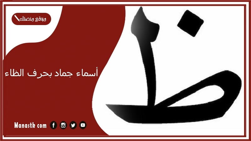 أسماء جماد بحرف الظاء.. اسم جماد بحرف ظ