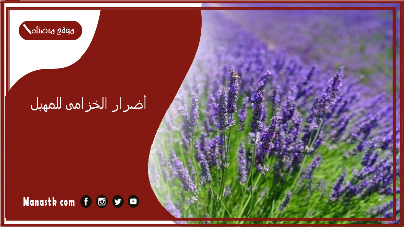أضرار الخزامى للمهبل.. فوائد الخزامي للرحم والحمل