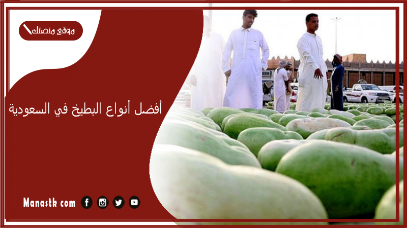أفضل أنواع البطيخ في السعودية