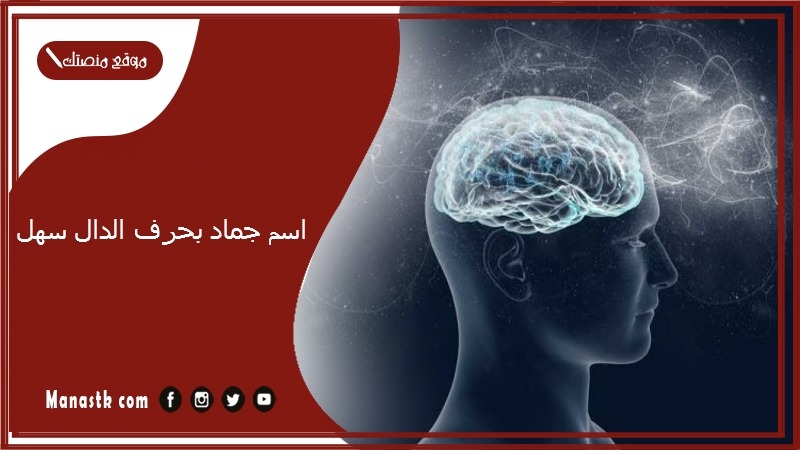 اسم جماد بحرف الدال سهل 2025 لعبة جماد 2025 جماد بحرف د