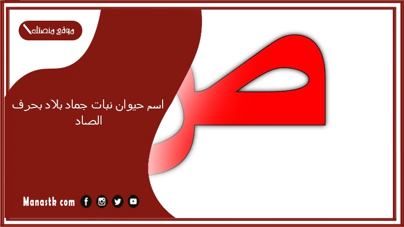 اسم حيوان نبات جماد بلاد بحرف الصاد 2025 حلول لعبة الحروف بحرف الصاد ص