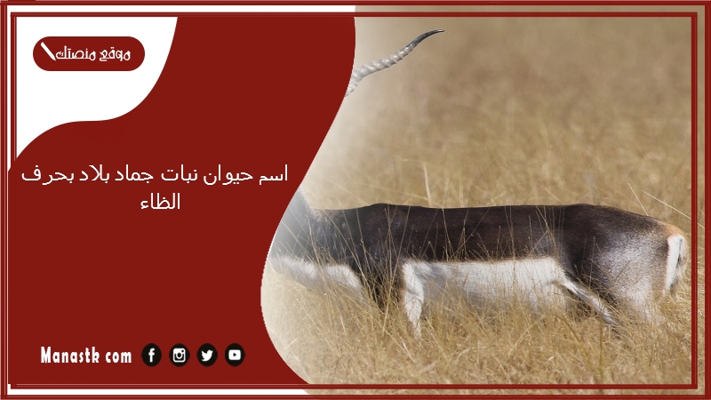 اسم حيوان نبات جماد بلاد بحرف الظاء 2025 حلول لعبة الحروف بحرف الظاء ظ