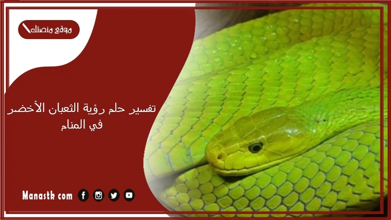 تفسير حلم رؤية الثعبان الأخضر في المنام