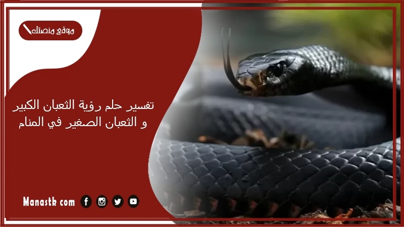 تفسير حلم رؤية الثعبان الكبير و الثعبان الصغير في المنام