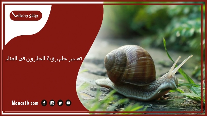 تفسير حلم رؤية الحلزون فى المنام