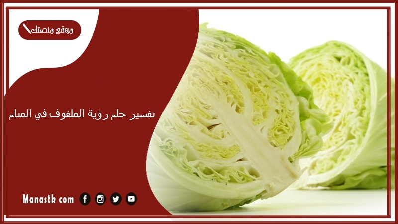 تفسير حلم رؤية الملفوف في المنام