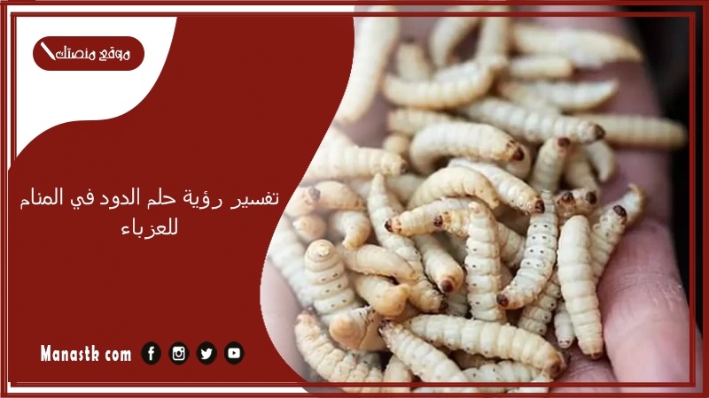 تفسير رؤية حلم الدود في المنام للعزباء