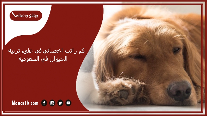 كم راتب اخصائي في علوم تربيه الحيوان في السعودية 1447