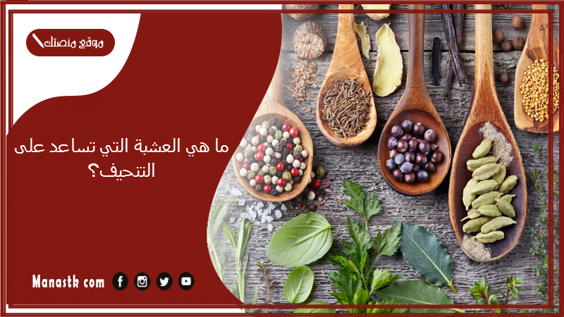 ما هي العشبة التي تساعد على التنحيف؟ وصفات تخسيس