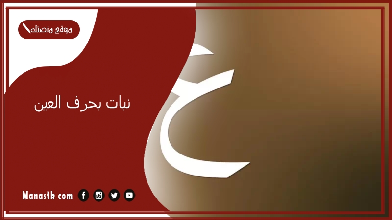 نبات بحرف العين 2025 اسم فاكهة بحرف العين خضار بحرف ع