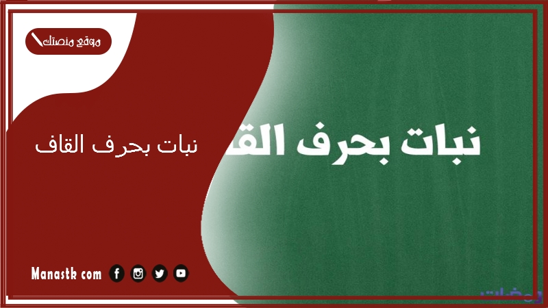نبات بحرف القاف 2025 اسم فاكهة بحرف القاف خضار بحرف ق