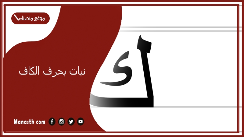 نبات بحرف الكاف 2025 اسم فاكهة بحرف الكاف خضار بحرف ك