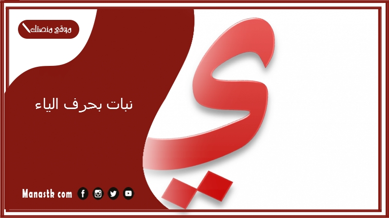 نبات بحرف الياء 2025 اسم فاكهة بحرف الياء خضار بحرف ي