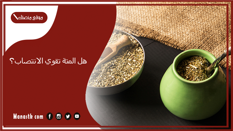 هل المتة تقوي الانتصاب؟ فوائد عشبة المتة للجنس