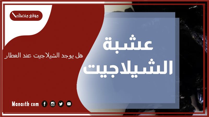 هل يوجد الشيلاجيت عند العطار؟ عشبة الشيلاجيت