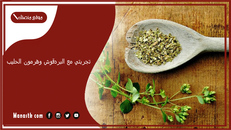 تجربتي مع البردقوش وهرمون الحليب.. كيف نزلتي هرمون الحليب