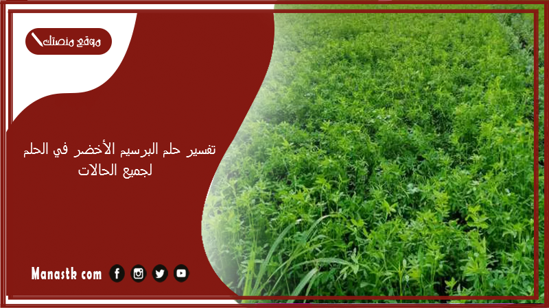 تفسير حلم البرسيم الأخضر في الحلم لجميع الحالات