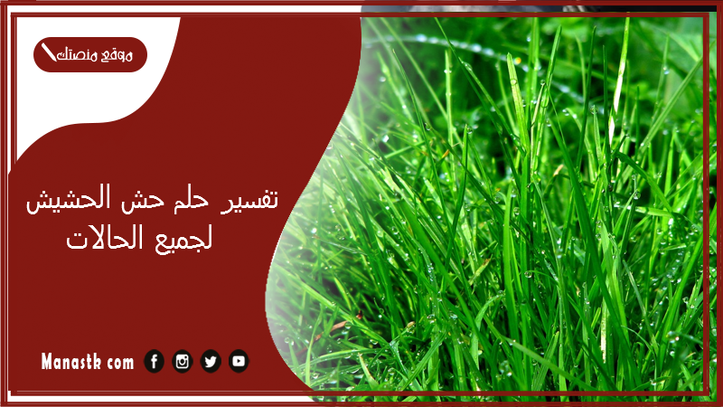 تفسير حلم حش الحشيش فى المنام