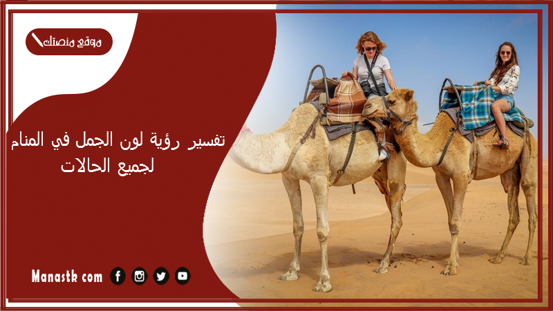 تفسير رؤية لون الجمل في المنام لجميع الحالات