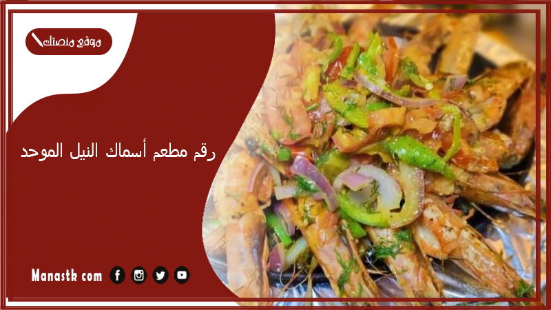 رقم مطعم أسماك النيل الموحد 2025 أسعار منيو ورقم فروع مطعم أسماك النيل 2025