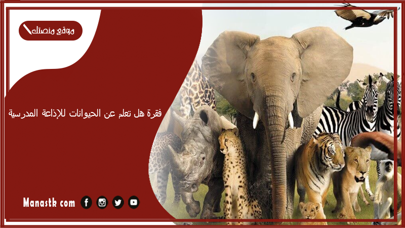 فقرة هل تعلم عن الحيوانات للإذاعة المدرسية مفيدة وهادفة 2025 فقرة هل تعلم للاذاعة المدرسية عن الحيوانات