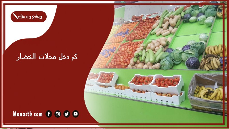 كم دخل محلات الخضار؟ دراسة جدوى مشروع محل خضار وفواكه pdf تكاليف فتح محل خضار وفواكه وأرباح المشروع