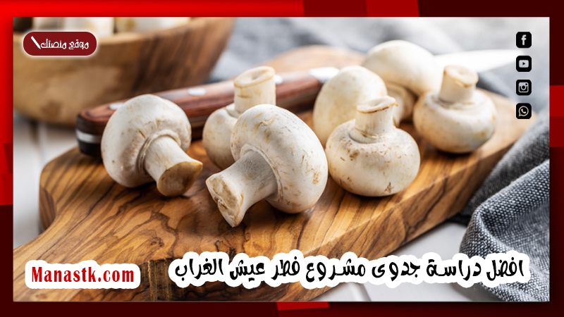افضل دراسة جدوى مشروع فطر عيش الغراب