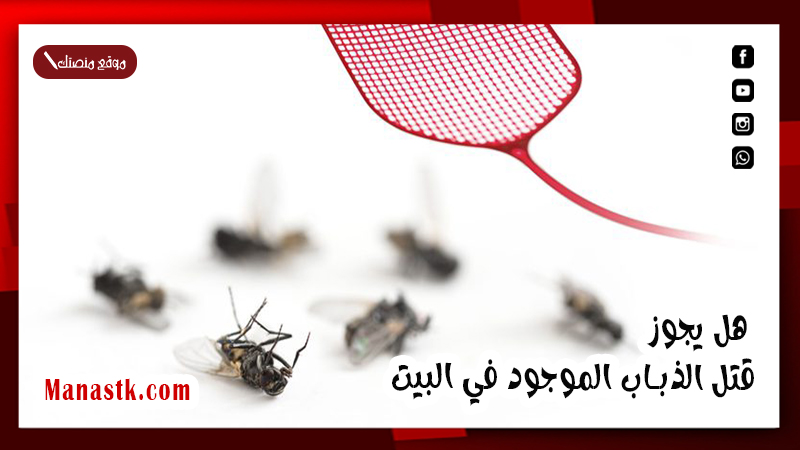 هل يجوز قتل الذباب الموجود في البيت