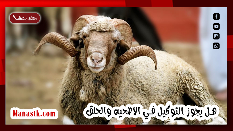 هل يجوز التوكيل في الاضحيه والحلق