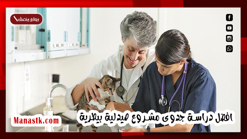 افضل دراسة جدوى مشروع صيدلية بيطرية