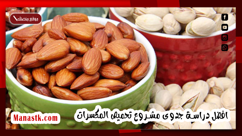 افضل دراسة جدوى مشروع تحميص المكسرات