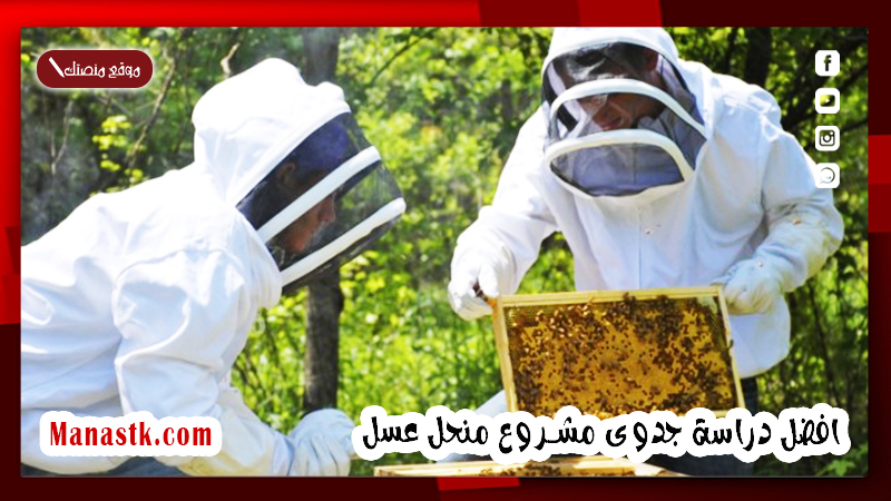 افضل دراسة جدوى مشروع منحل عسل