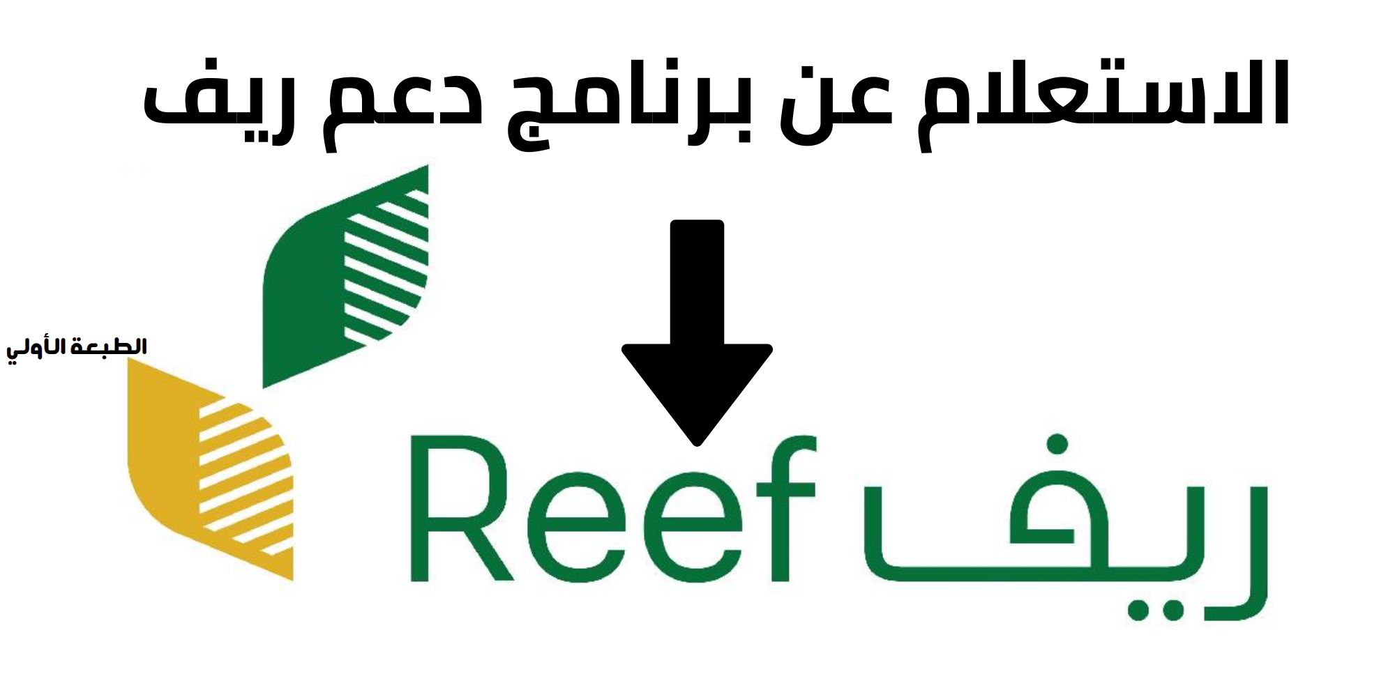 شروط دعم ريف وخطوات الاستعلام عن الأهلية 1447