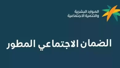 خطوات الاستعلام عن الضمان المطور عن طريق النفاذ الوطني