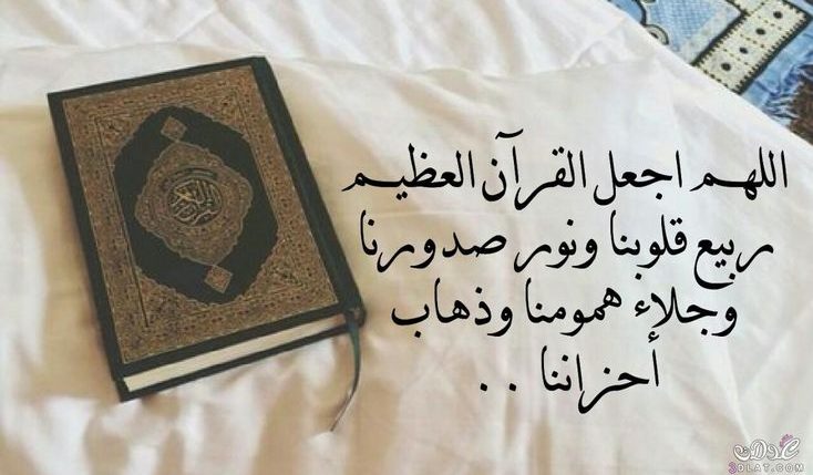كلمة عن القران الكريم قصيرة للإذاعة المدرسية مفيدة جداً