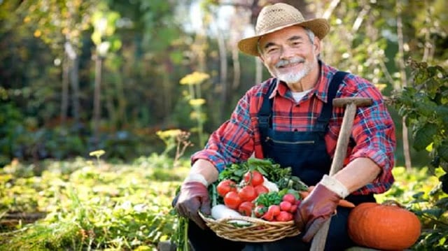 بحث عن أهمية الفلاح في حياة الناس والوطن
