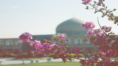 اقتباسات دينية