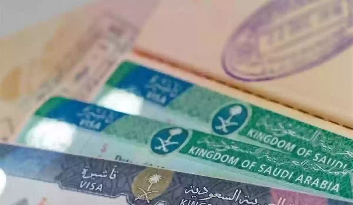 خطوات بسيطة الاستعلام عن تأشيرة الدخول باستخدام رقم جواز السفر 2025