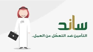 الاستعلام عن دعم ساند