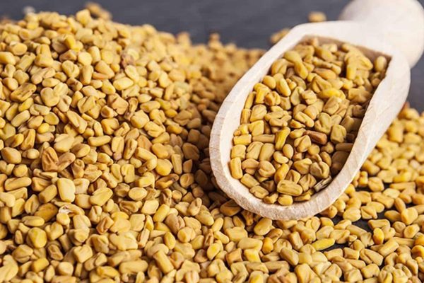 السعرات الحرارية في الحلبة وقيمتها الغذائية