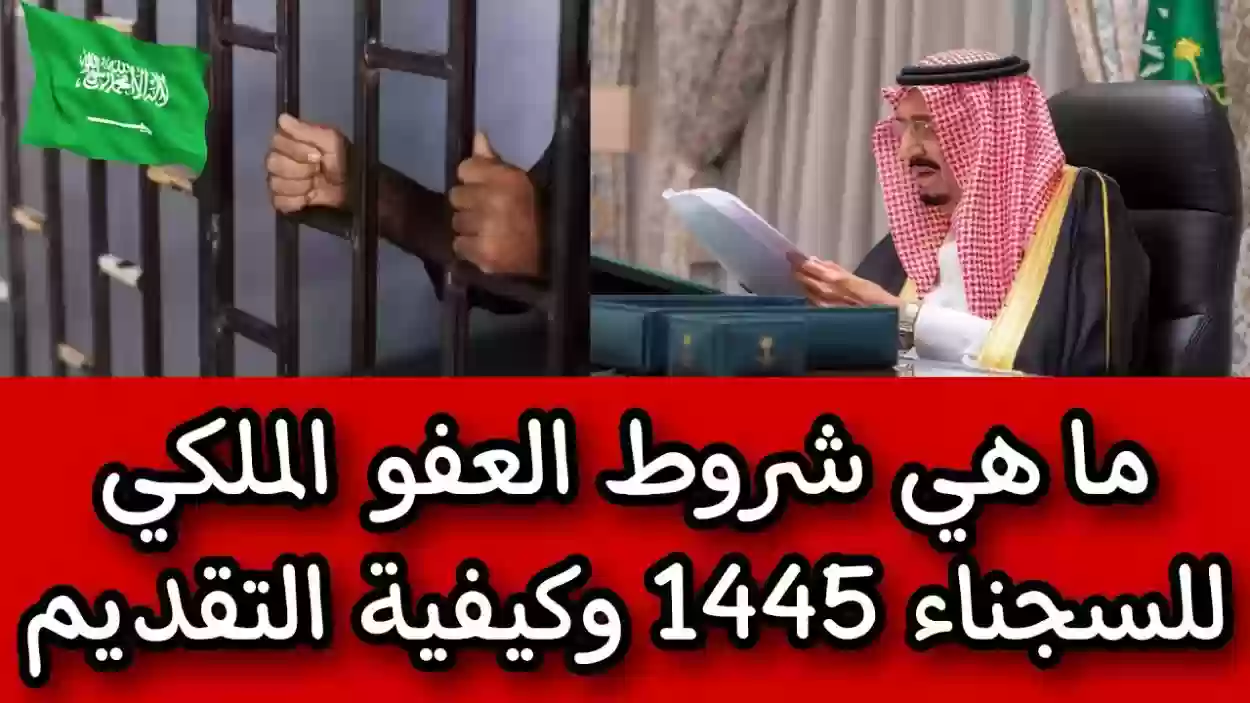 عبر هذا الرابط .. التقديم على العفو الملكي عن السجناء| الطريقة والأوراق المطلوبة والشروط