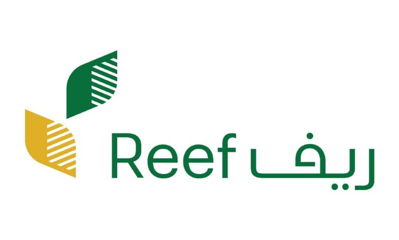 شروط التقديم على دعم ريف .. المنصة توضح الشروط ومتطلبات التقديم على الدعم