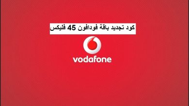 باقة فودافون فليكس 45