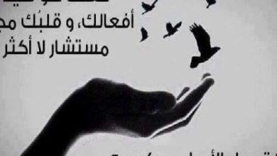حكمة جميلة وقصيرة